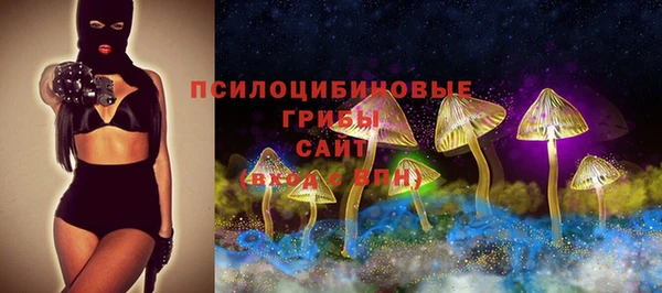 тгк Рославль