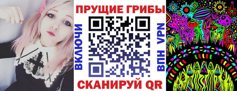 Псилоцибиновые грибы Psilocybe  мега ONION  Гусев 